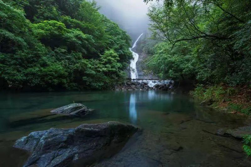 战锤：末世鼠疫2